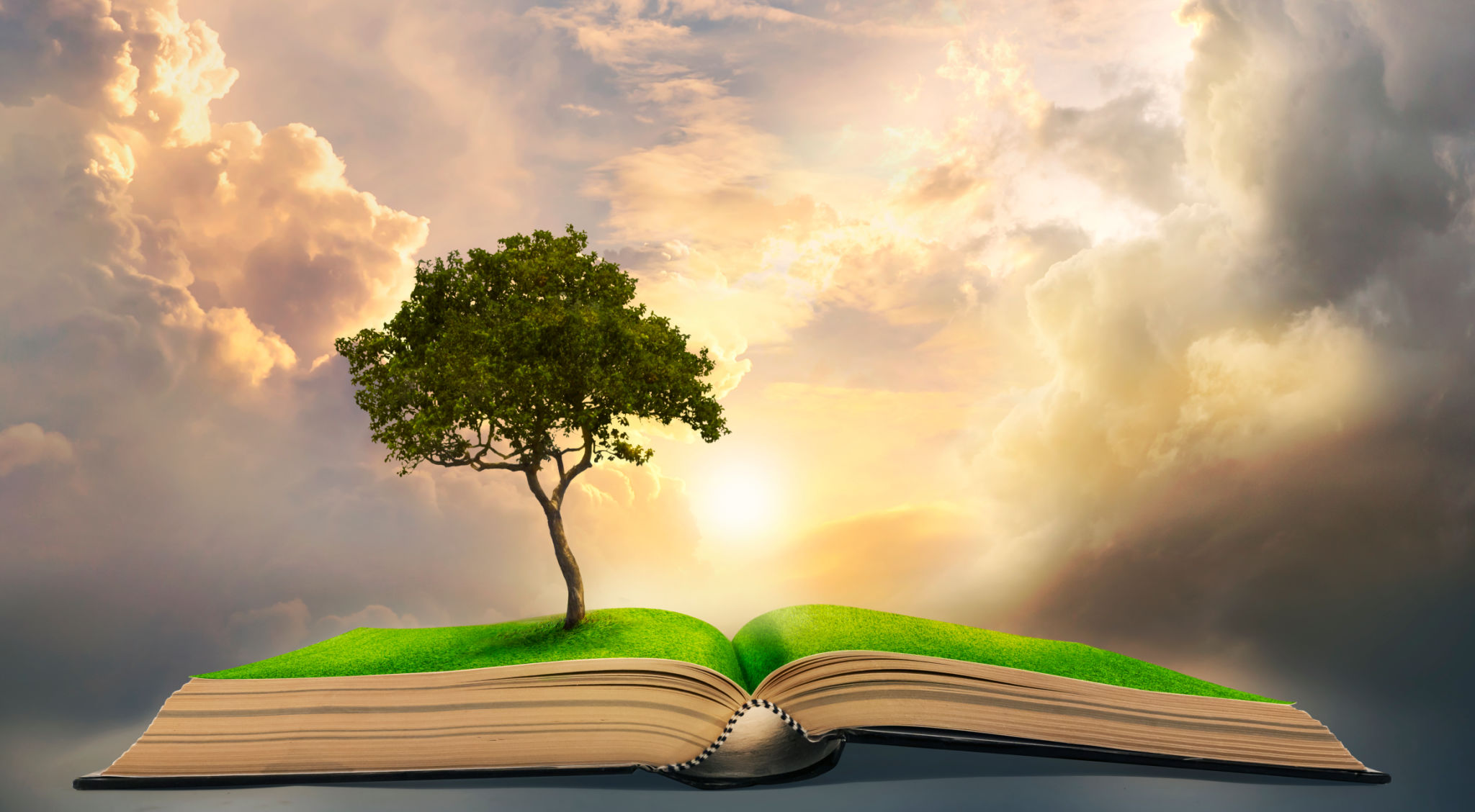 lonely big tree growing up on ancient books like a painting in literature lonely big tree growing up on ancient books like a painting in literature