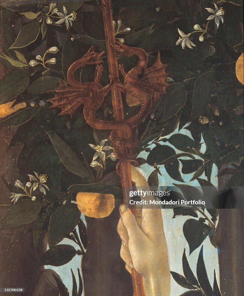 Primavera, by Sandro Filipepi Known as Botticelli, 1478 about, 15th Century, thick tempera on panel, cm 203 x 314 .