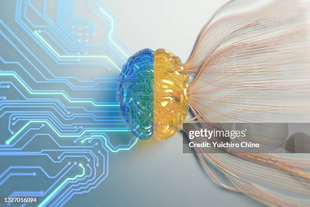 ai brain with circuitry and big data - art and science stock-fotos und bilder