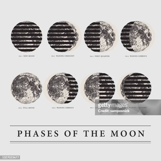 chart of the moon's lunar phases - gibbous moon stock illustrations