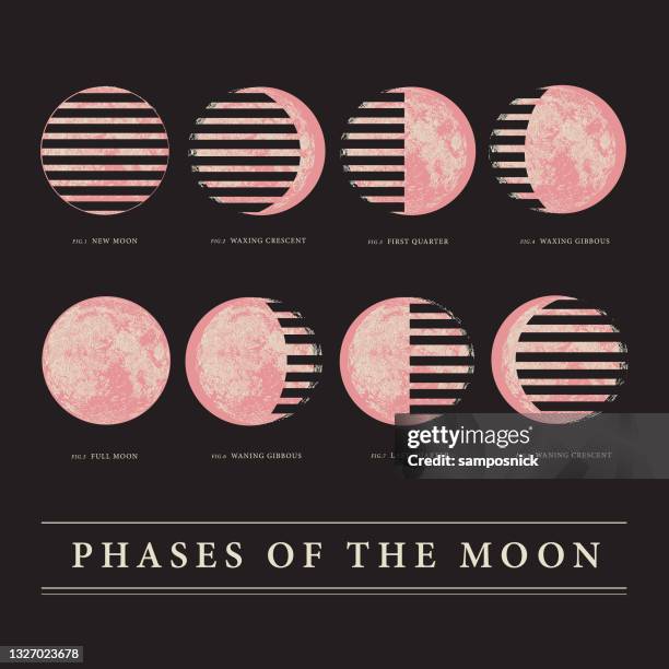 chart of the moon's lunar phases - gibbous moon stock illustrations