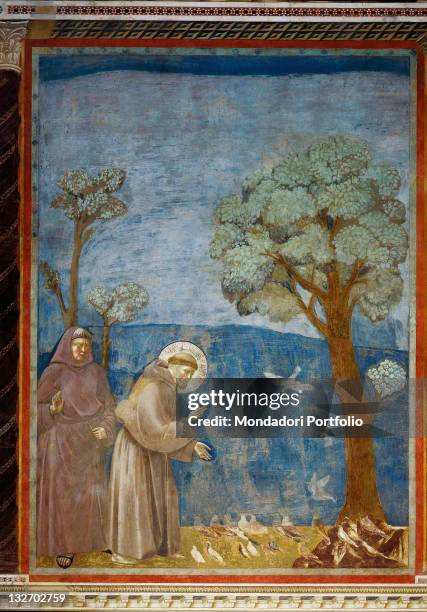 Italy, Umbria, Perugia, Assisi, Upper Basilica of San Francesco, nave. Whole artwork view. St Francis preaches to the birds tree Franciscan friar...