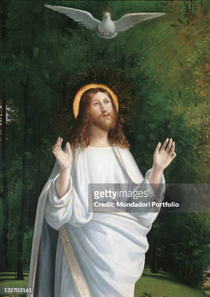 Italy, Lombardy, Milan, Brera art gallery. Detail The Transfiguration Jesus Christ Dove Holy Ghost Holy Spirit nature meadow grassland landscape...