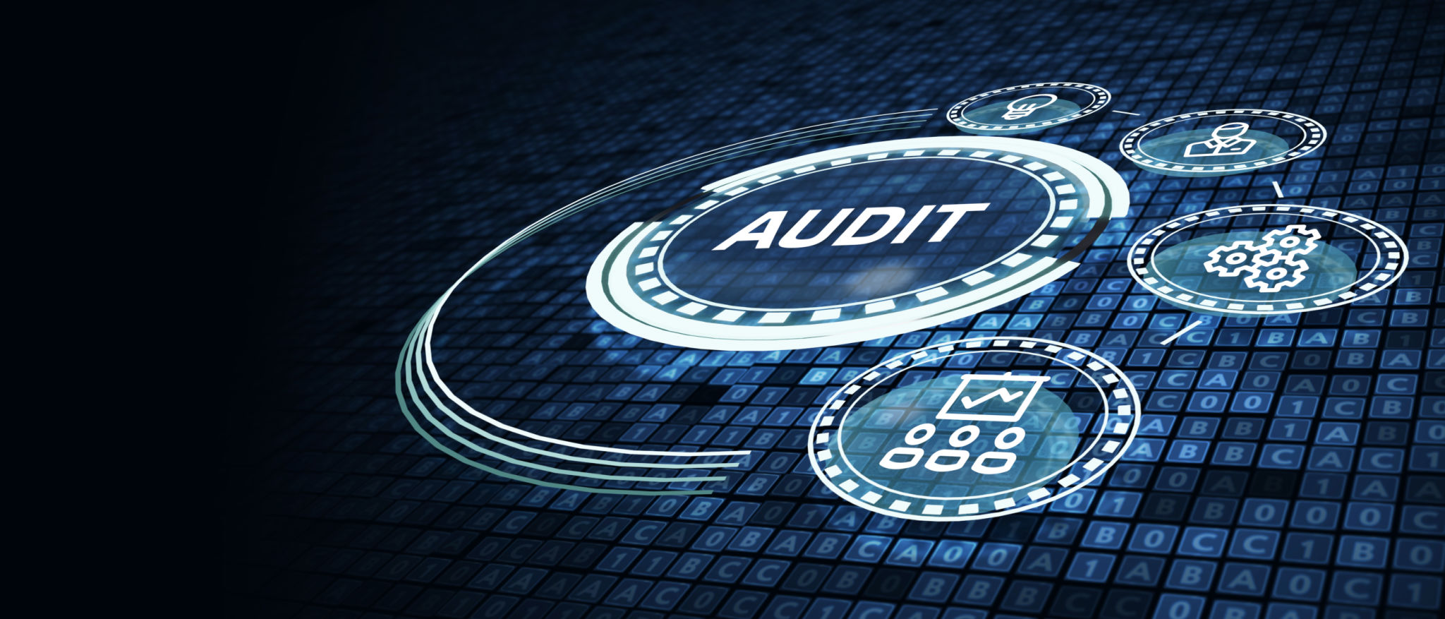 it infrastructure audit