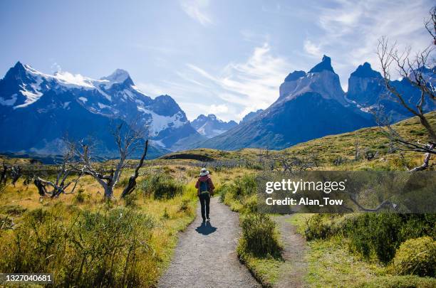 a women hiking at torres del paine national park in chile - cuernos del paine stockfoto's en -beelden