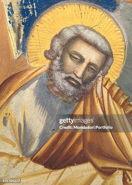 Italy, Veneto, Padua, Scrovegni Chapel. Detail. The face of St Joseph in the foreground Saint aureole halo.