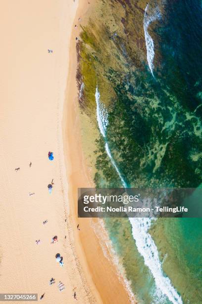 aerial view of mona vale beach and rock pool, sydney - sydney ocean drone stockfoto's en -beelden