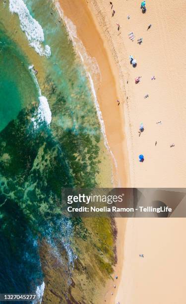 aerial view of mona vale beach and rock pool, sydney - sydney ocean drone stockfoto's en -beelden