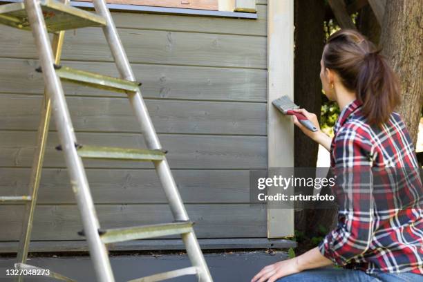 home exterior painting