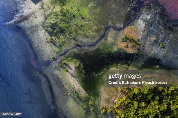 aerial top down view; drone flying over a very polluted river with copper colored water; dumping of chemical waste into the river; dead vegetation, tree stumps; concept of environmental pollution - contaminación de aguas fotografías e imágenes de stock