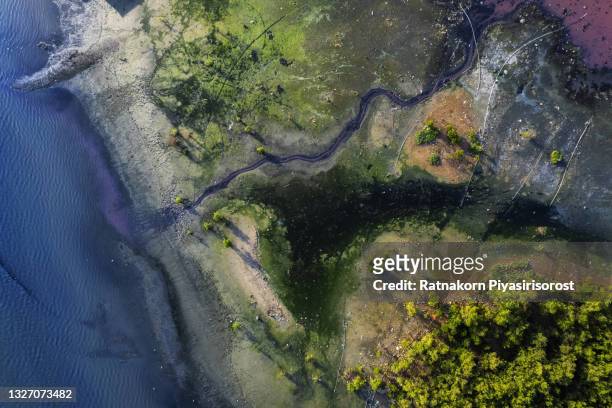 aerial top down view; drone flying over a very polluted river with copper colored water; dumping of chemical waste into the river; dead vegetation, tree stumps; concept of environmental pollution - global impact stock pictures, royalty-free photos & images