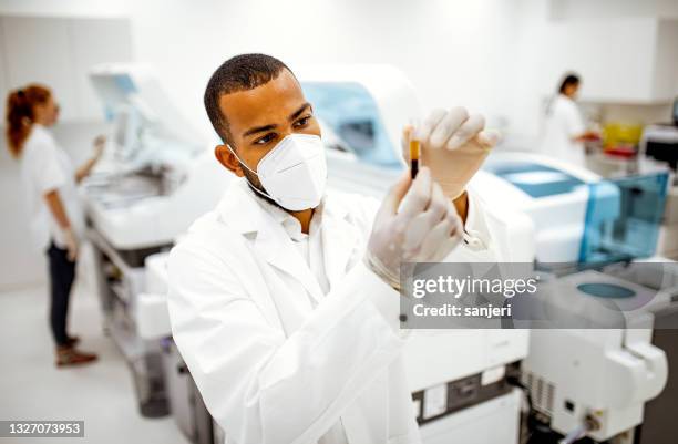 scientists working in the laboratory - black lab bildbanksfoton och bilder