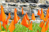 Small Orange Flags In Grass