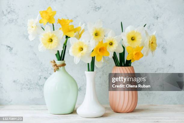 bouquets of bright white and yellow daffodils in a variety of colored vases close-up - close up of flower bouquet stock-fotos und bilder