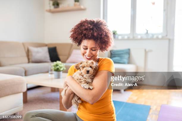 happy woman cuddling her maltipoo puppy at home - black hairy women bildbanksfoton och bilder