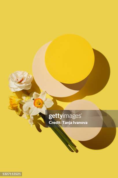 abstract minimal scene with yellow geometrical forms, flowers narcissus on yellow background. stylish summer, spring background for presentation. showcase, display case. flat lay, top view,copy space. - spring flat lay stock pictures, royalty-free photos & images