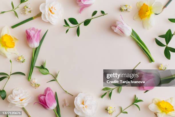 flowers composition made of colorful flowers tulips, narcissus and green leaves on beige background. easter, spring, summer concept. flat lay, top view, copy space - tulp stockfoto's en -beelden