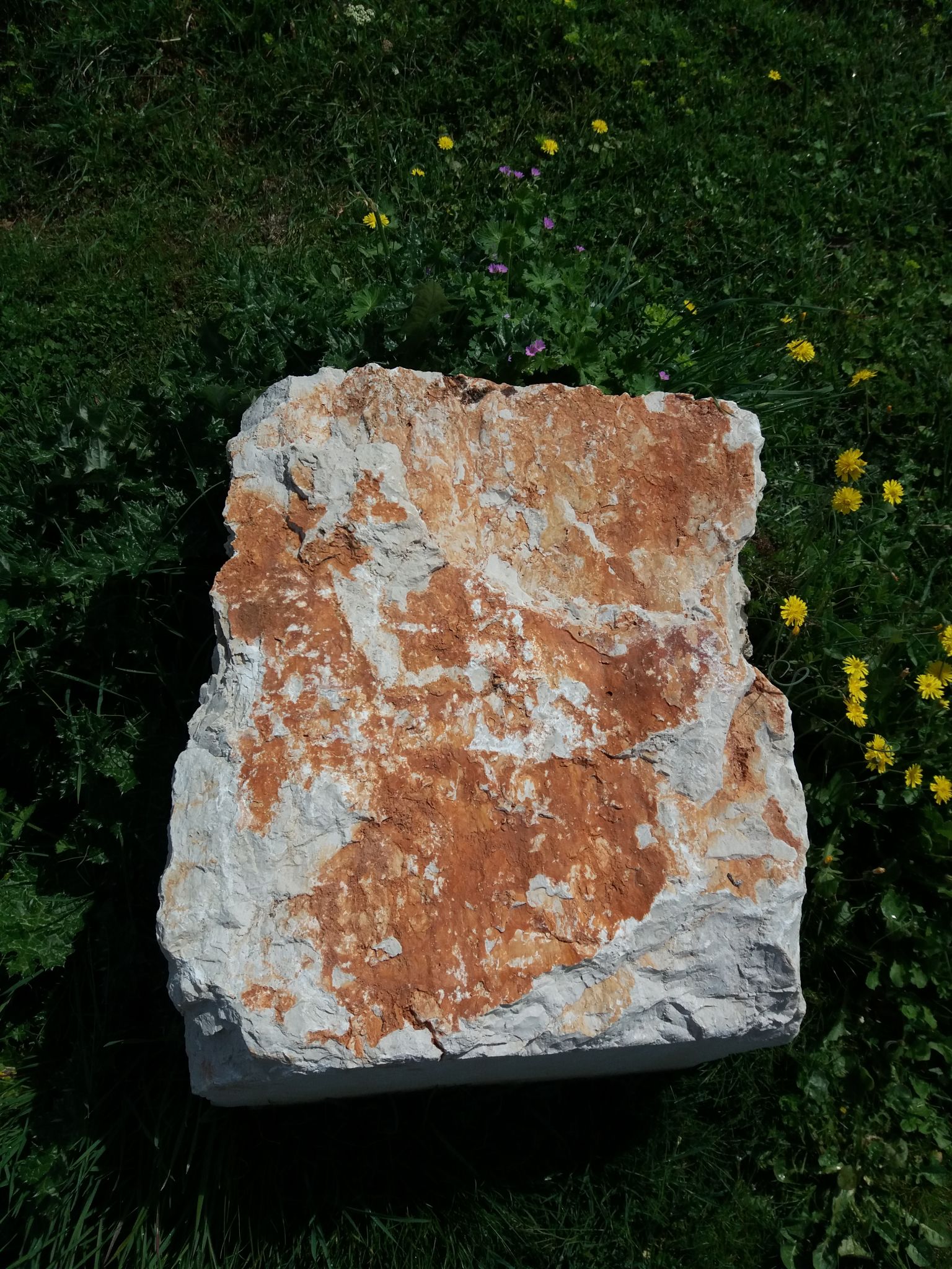 pietra naturale esterno