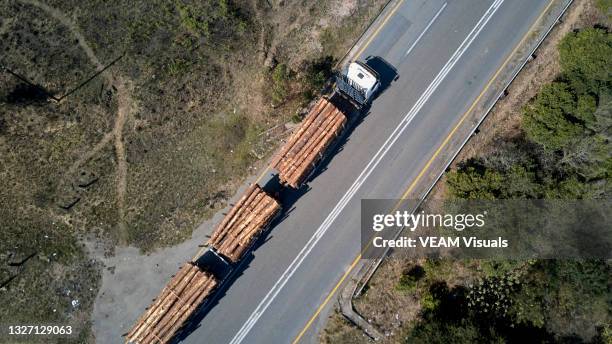 aerial view of a truck on the road carrying piles of cut logs - drone point of view photos stock pictures, royalty-free photos & images