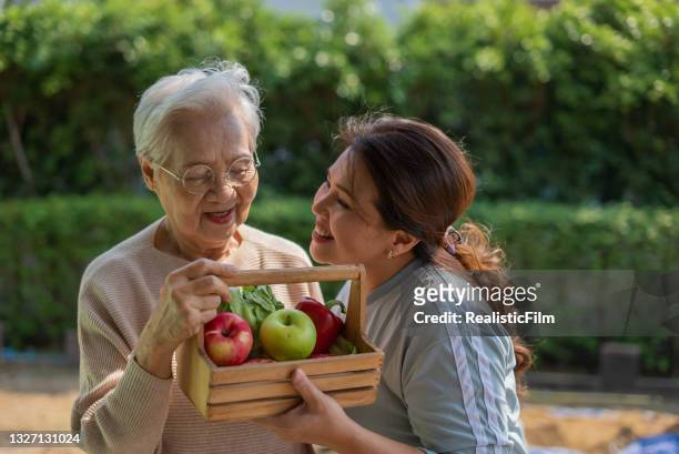 シニア農家と彼女の娘は、新鮮な有機果物と箱を保持 - asian farmer ストックフォトと画像