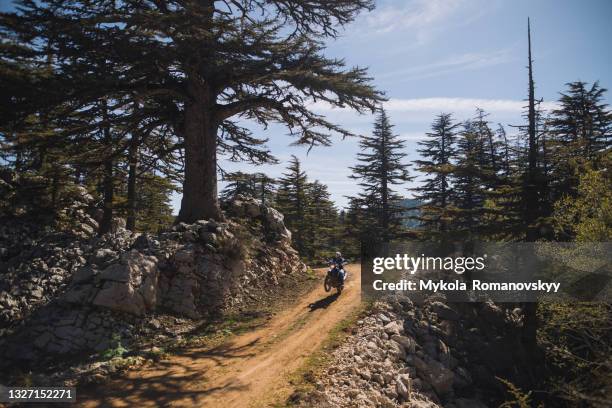 skilled biker at the beautiful mountain road - car and motorcycle on mountain road stock pictures, royalty-free photos & images