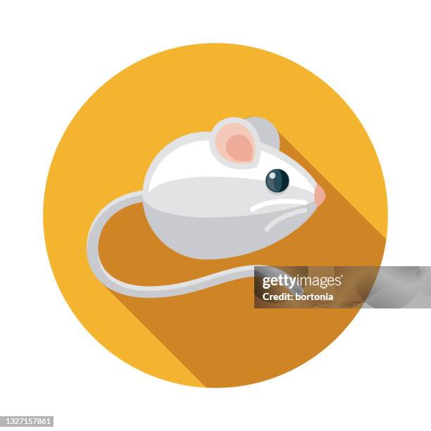 Ilustraciones de Ratón Animal - Getty Images Ilustraciones de Ratón Animal - Getty Images