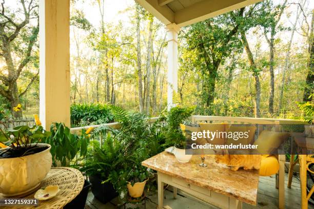 inviting porch in lousiana - lafayette luisiana imagens e fotografias de stock