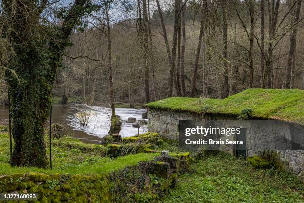 old mill with the roof covered by vegetation in galicia. - mill house stock pictures, royalty-free photos & images