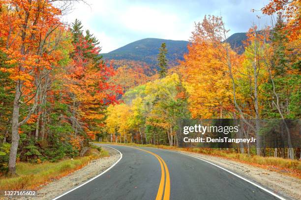 grafton notch state park in maine - maine road stock pictures, royalty-free photos & images