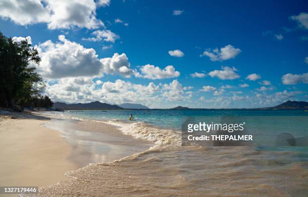 kailua beach in hawaii - kailua stockfoto's en -beelden