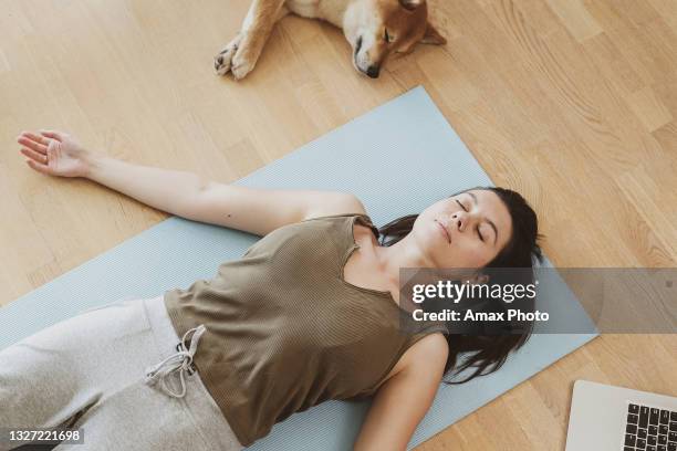 woman training at home, watching online videos on laptop, shiba inu dog sleeping near her - dog yoga stock pictures, royalty-free photos & images