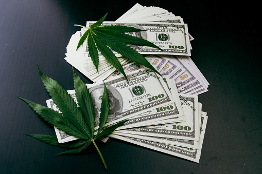 The cannabis plant on US dollars. Money with marijuana leaves.