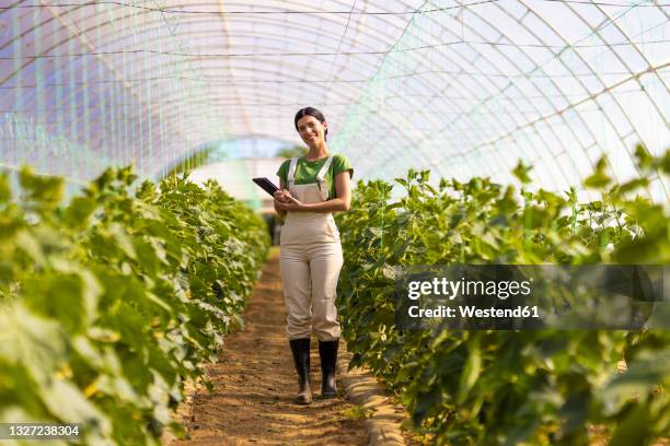 smiling female farmer with digital tablet standing at greenhouse - greenhouse imagens e fotografias de stock