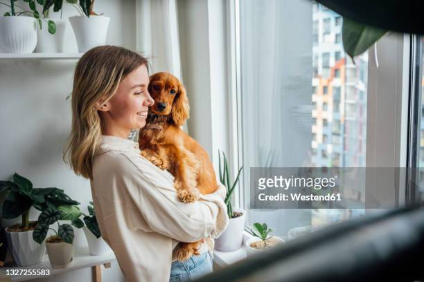 smiling young woman carrying cocker spaniel dog while looking through window at home - cocker fotografías e imágenes de stock