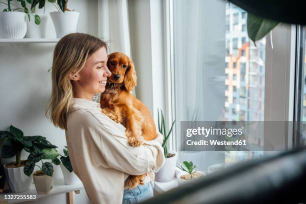 smiling young woman carrying cocker spaniel dog while looking through window at home - cocker spaniel 個照片及圖片檔