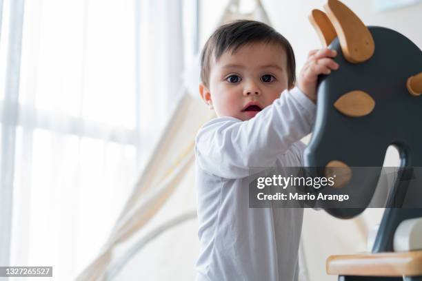 ritratto di un bambino di 11 mesi che guarda la telecamera mentre si aggrappa al suo cavallo e cerca di fare i primi passi - soltanto un neonato maschio foto e immagini stock
