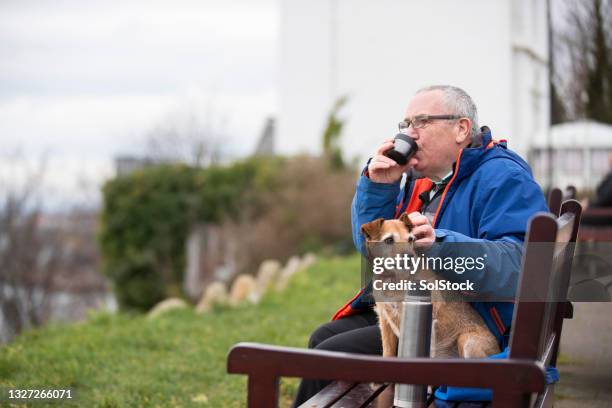 morning cup of tea with my dog - senior pets stock pictures, royalty-free photos & images