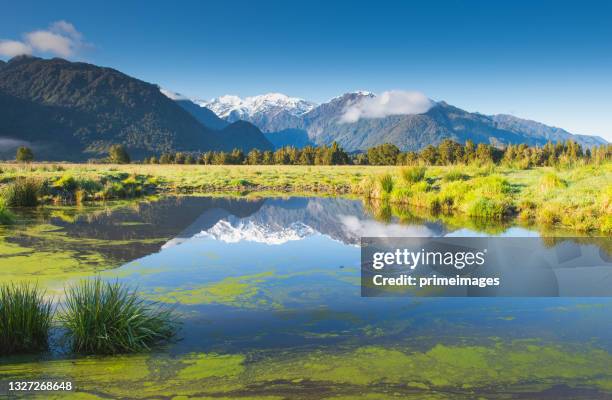 beautiful scenery landscape of fox glacier town southern alps mountain valleys new zealand - lake matheson new zealand stock pictures, royalty-free photos & images