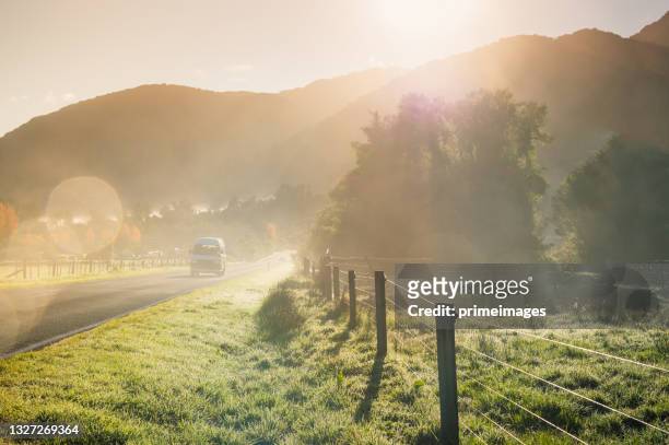 car driving in country road with misty and foggy early morning farming country sunrise and tree in early morning new zealand - mt dew stock pictures, royalty-free photos & images