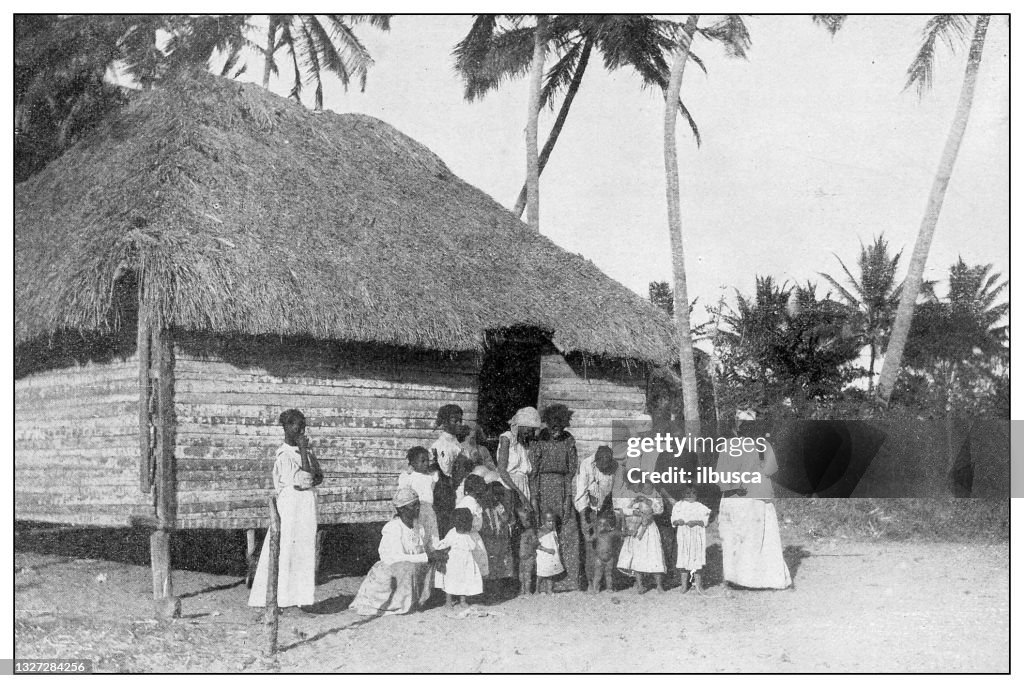 Antique black and white photograph: Coconut pickers, Santiago de Cuba