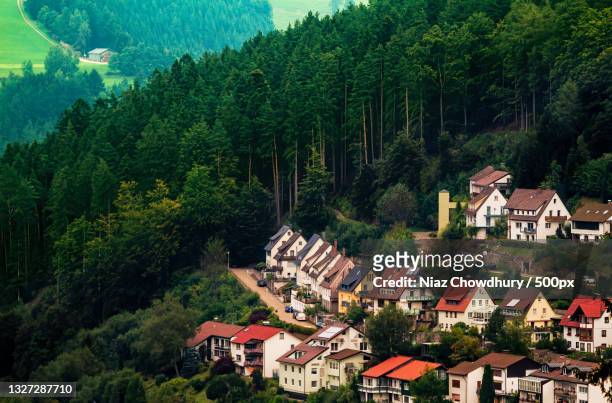 high angle view of trees and buildings in town,triberg,germany - schwarzwald foto e immagini stock