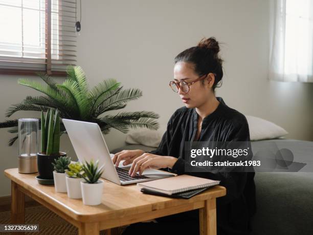 woman learning online with laptop. - job search 個照片及圖片檔