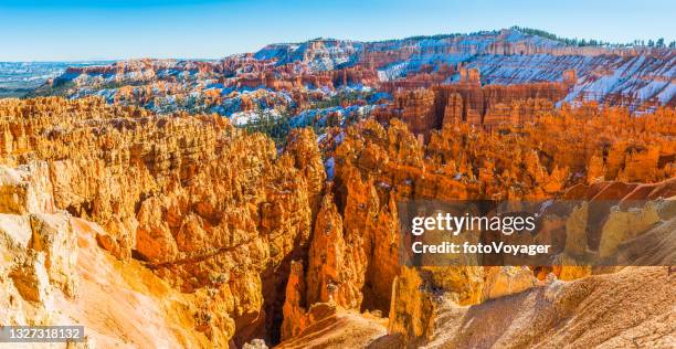 panoramablick über den goldenen hoodoos utah des bryce canyon nationalparks - canyon stock-fotos und bilder