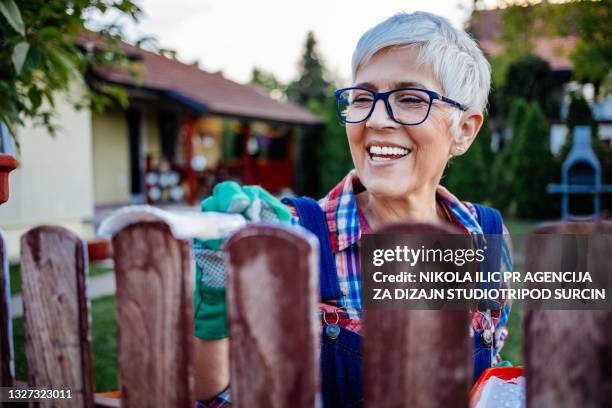 beautiful mature women painting fence - garden fence stock pictures, royalty-free photos & images