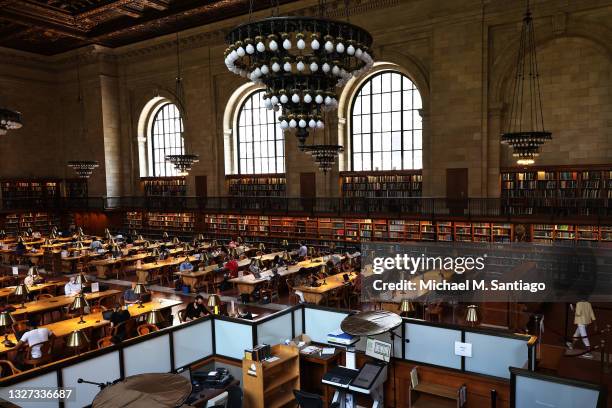 Nyc Library Roo New York Public Library Reading Room Photos and Premium High Res ...
