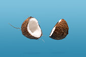 Floating coconut split on half on blue background. Creative food concept
