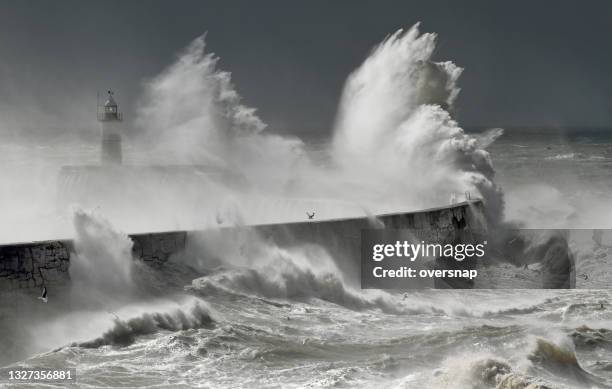 ocean storm - tufão imagens e fotografias de stock