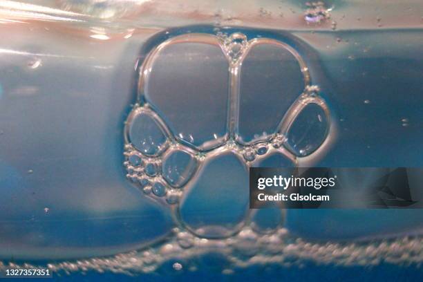 paw design in dish soap bubbles inside bottle - dog blue background stock pictures, royalty-free photos & images