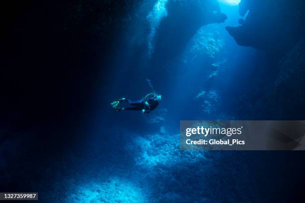 taucher in den blue holes in palau, mikronesien - tiefseetauchen stock-fotos und bilder