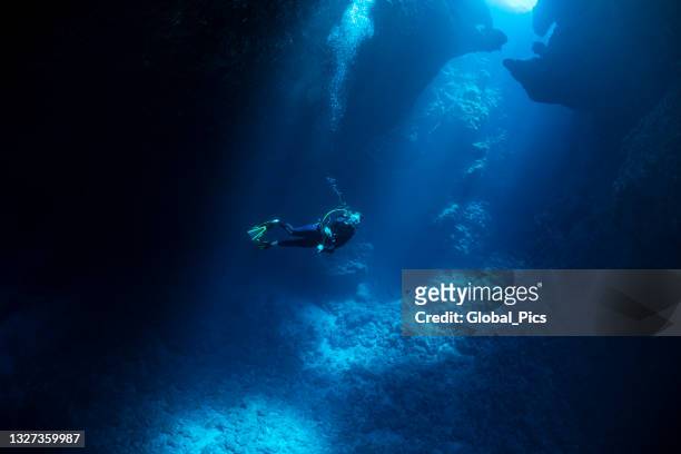 diver inside the blue holes in palau, micronesia - fundo do mar imagens e fotografias de stock